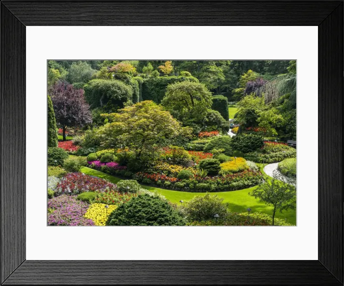 Framed Print : Butchart Gardens, Victoria, British Columbia, Canada Framed Print : Butchart Gardens, Victoria, British Columbia, Canada