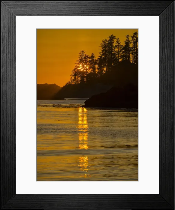 Framed Print : Canada, British Columbia Vancouver Island, Ucluelet, West Coast Framed Print : Canada, British Columbia Vancouver Island, Ucluelet, West Coast