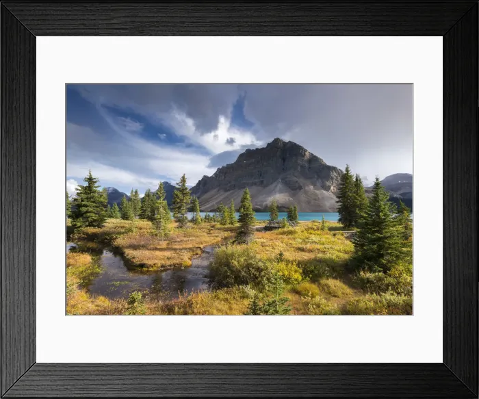 Framed Print : Winding stream leading through undergrowth to Bow Lake in the Canadian Rockies, Icefields Framed Print : Winding stream leading through undergrowth to Bow Lake in the Canadian Rockies, Icefields