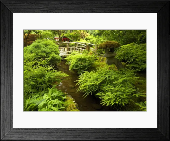 Framed Print : Japanese Garden, Butchart Gardens, Victoria, Vancouver Island, British Columbia, Canada Framed Print : Japanese Garden, Butchart Gardens, Victoria, Vancouver Island, British Columbia, Canada