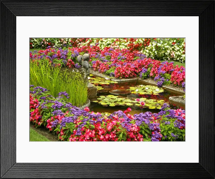 Framed Print : Butchart Gardens, Victoria, Vancouver Island, British Columbia, Canada Framed Print : Butchart Gardens, Victoria, Vancouver Island, British Columbia, Canada