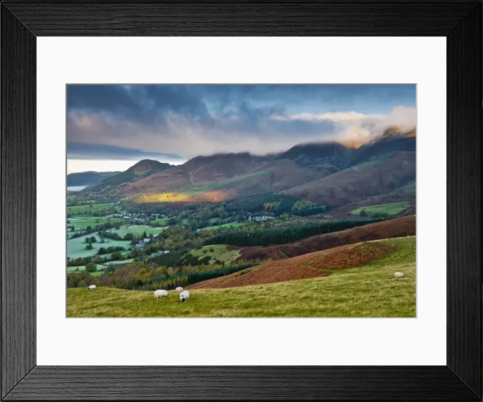 Framed Print : Grazing Sheep on Latrigg Fell, Lake District National Park, Cumbria, England