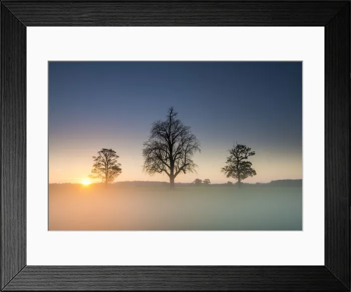 Framed Print : Three Trees in Mist at Sunrise, Norfolk, England Framed Print : Three Trees in Mist at Sunrise, Norfolk, England