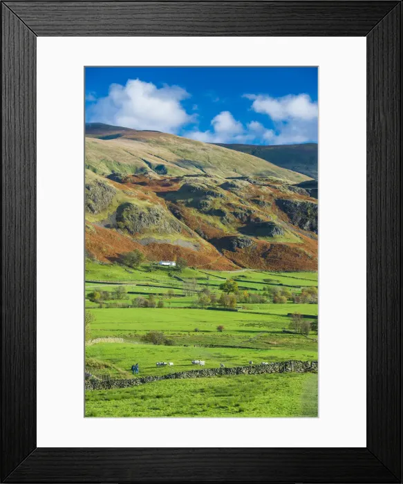 Framed Print : Couple Walking in Dale Bottom, Lake District National Park, Cumbria, England Framed Print : Couple Walking in Dale Bottom, Lake District National Park, Cumbria, England