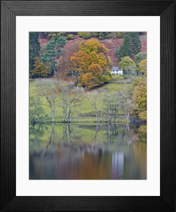 Framed Print : Cottage Reflecting in Loughrigg Tarn in Autumn, Lake District National Park, Cumbria