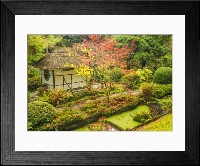 Framed Print : Thatched Tea House, Tatton Park, Cheshire, England Framed Print : Thatched Tea House, Tatton Park, Cheshire, England