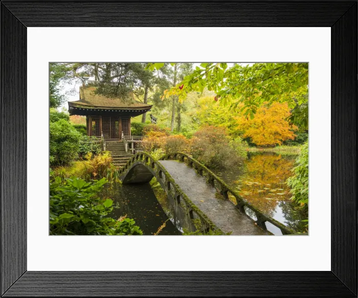 Framed Print : Shinto Shrine & Bridge, Tatton Park, Cheshire, England Framed Print : Shinto Shrine & Bridge, Tatton Park, Cheshire, England