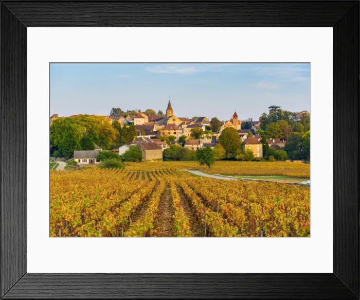 Framed Print : France, Bourgogne-Franche-Comte, Burgundy, Cote-d Or, Monthelie Framed Print : France, Bourgogne-Franche-Comte, Burgundy, Cote-d Or, Monthelie