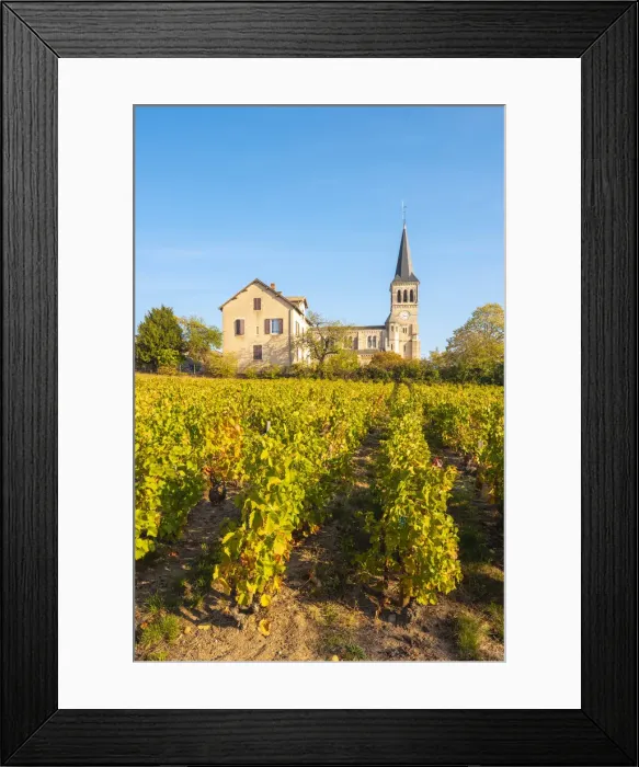 Framed Print : France, Auvergne-Rhone-Alpes, Beaujolais crus wine region, Chenas Framed Print : France, Auvergne-Rhone-Alpes, Beaujolais crus wine region, Chenas