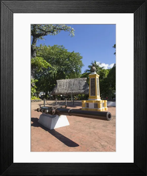 Framed Print : Bougainville Park, Pape ete, Tahiti, French Polynesia