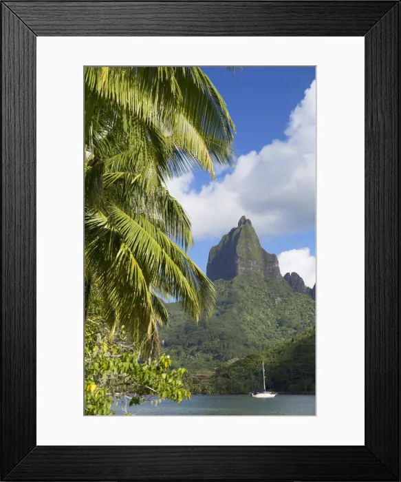 Framed Print : Opunohu Bay, Mo orea, Society Islands, French Polynesia Framed Print : Opunohu Bay, Mo orea, Society Islands, French Polynesia