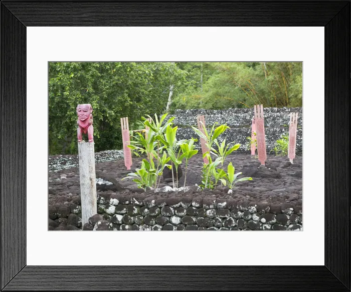 Framed Print : Marae Arahurahu, Pa ea, Tahiti, French Polynesia Framed Print : Marae Arahurahu, Pa ea, Tahiti, French Polynesia