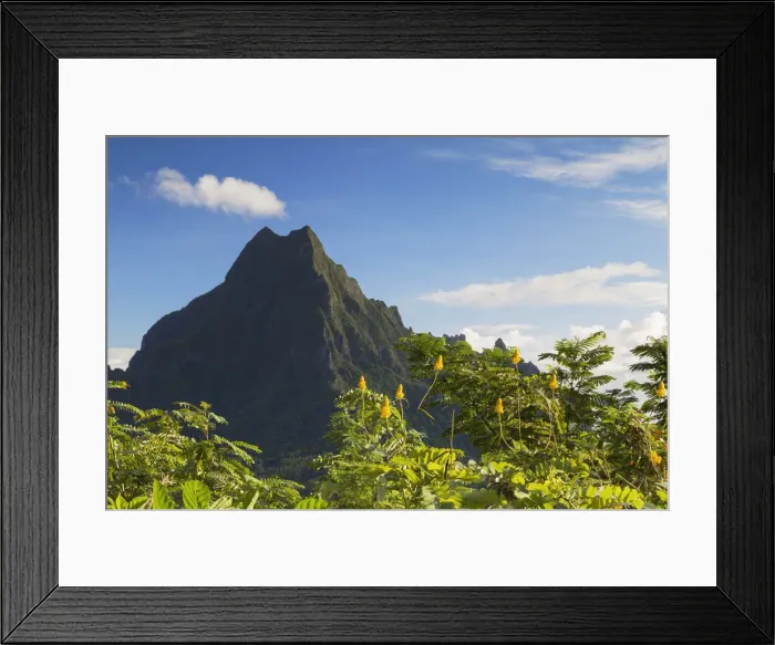 Framed Print : Mount Rotui, Mo orea, Society Islands, French Polynesia Framed Print : Mount Rotui, Mo orea, Society Islands, French Polynesia