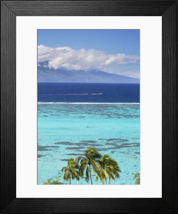 Framed Print : Palm trees and lagoon with Tahiti in the background, Moorea, Society Islands, French Framed Print : Palm trees and lagoon with Tahiti in the background, Moorea, Society Islands, French
