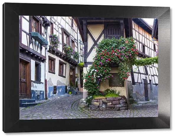 The cobbled streets and half-timbered houses of the medieval village Eguisheim, member