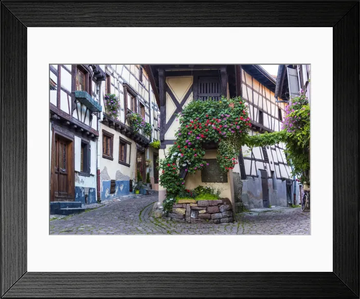 Framed Print : The cobbled streets and half-timbered houses of the medieval village Eguisheim, member