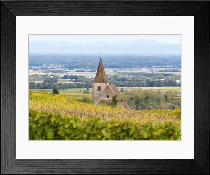 Framed Print : Vineyards near Ribeauville, Alsatian Wine Route, France Framed Print : Vineyards near Ribeauville, Alsatian Wine Route, France