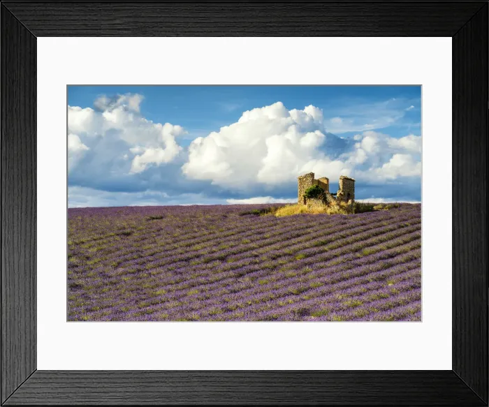 Framed Print : Field of Lavender and Barn Ruin, Provence, France Framed Print : Field of Lavender and Barn Ruin, Provence, France
