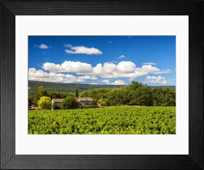 Framed Print : Villa in Vineyard, Provence, France