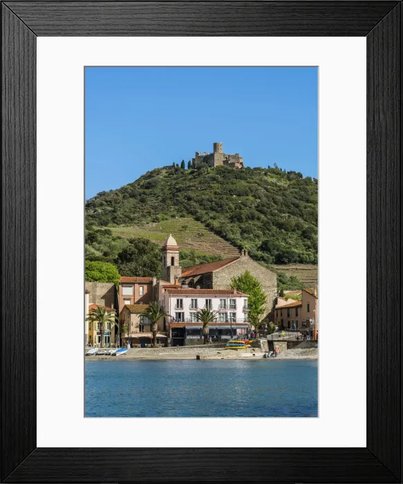 Framed Print : Collioure, Pyrenees-Orientales, France Framed Print : Collioure, Pyrenees-Orientales, France