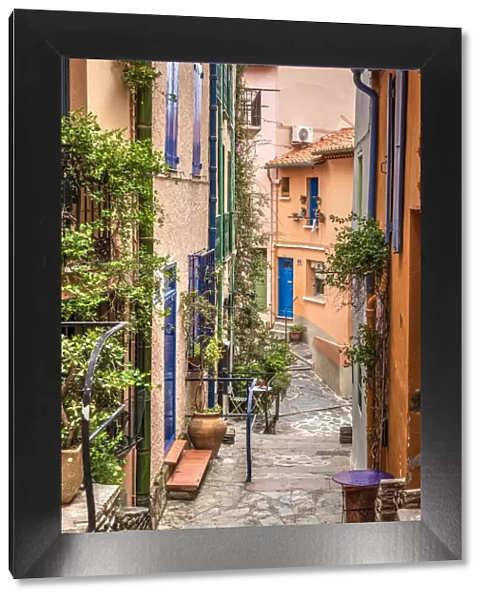 Picturesque corner of the old town, Collioure, Pyrenees-Orientales, France