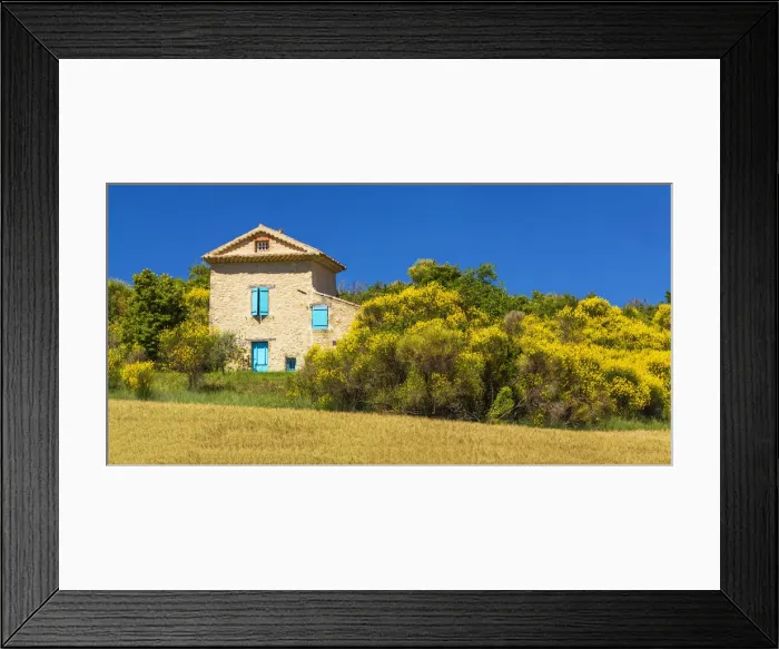 Framed Print : Villa in Gorse, near Puimoisson, Provence, France