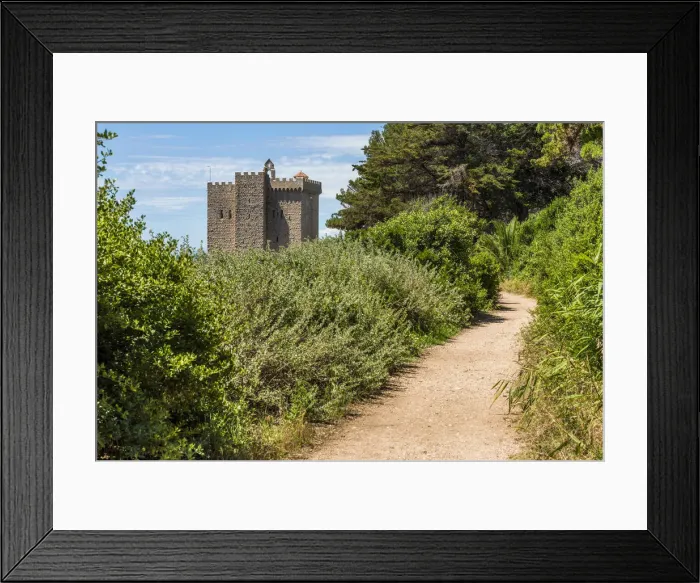 Framed Print : Europe, France, Cote D Azur. The fortified monastery of Saint-Honorat near to Cannes Framed Print : Europe, France, Cote D Azur. The fortified monastery of Saint-Honorat near to Cannes
