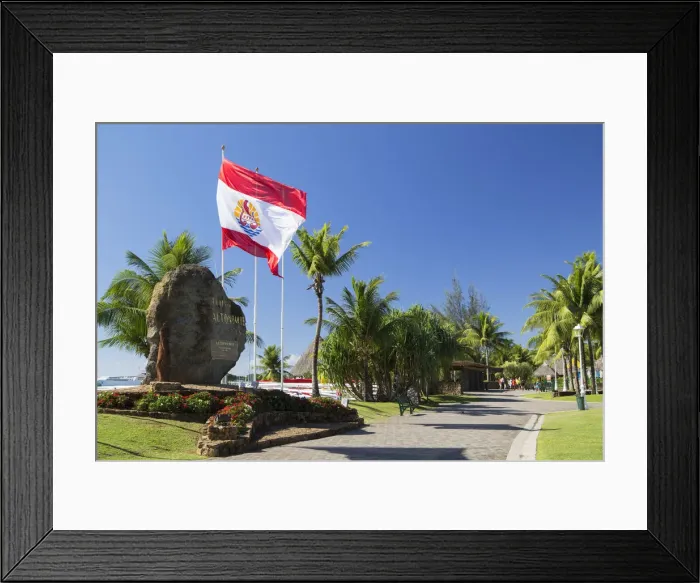 Framed Print : French Polynesian flag in Jardins de Paofai, Pape ete, Tahiti, French Polynesia Framed Print : French Polynesian flag in Jardins de Paofai, Pape ete, Tahiti, French Polynesia