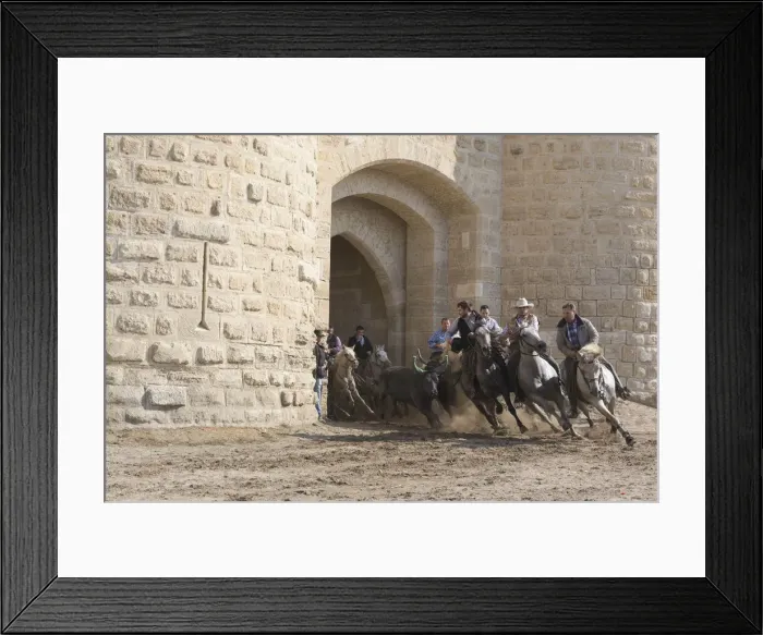Framed Print : Guardians running black bulls through the streets of Aigues-Mortes, Camargue Framed Print : Guardians running black bulls through the streets of Aigues-Mortes, Camargue
