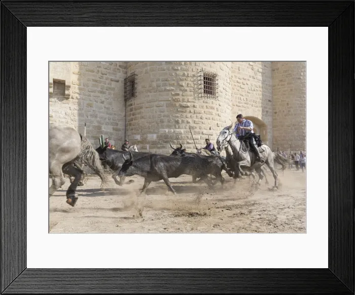 Framed Print : Guardians running black bulls through the streets of Aigues-Mortes, Camargue, Region Sud Framed Print : Guardians running black bulls through the streets of Aigues-Mortes, Camargue, Region Sud