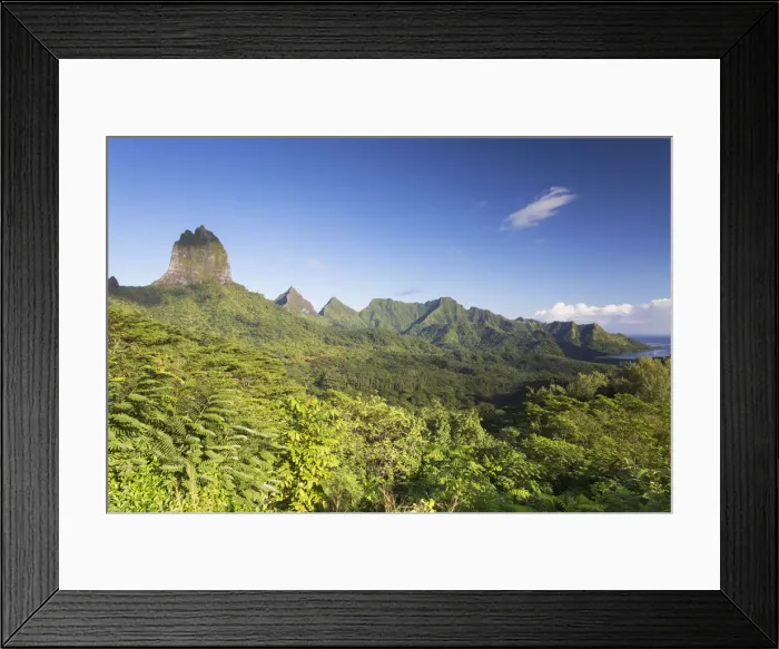 Framed Print : View of Mount Tohiea and mountain range, Mo orea, Society Islands, French Polynesia Framed Print : View of Mount Tohiea and mountain range, Mo orea, Society Islands, French Polynesia