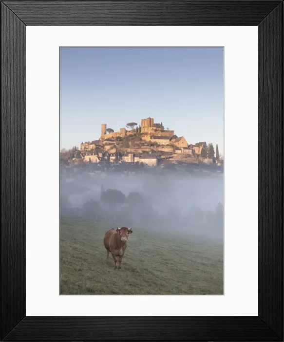 Framed Print : A cow stands in front of the hilltop village of Turenne surrounded by mist, Correze