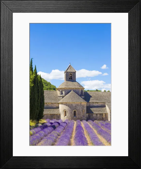 Framed Print : Provence, France. Lavender field at Senanque Abbaye Framed Print : Provence, France. Lavender field at Senanque Abbaye