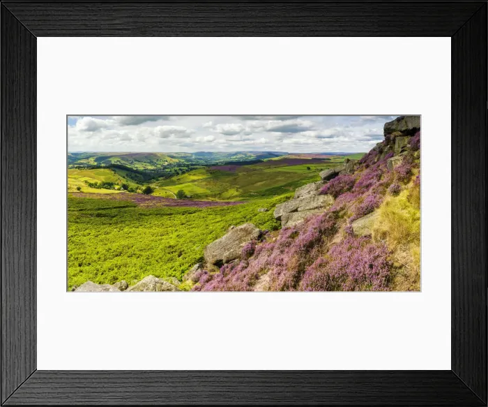 Framed Print : Heather in Bloom on Higger Tor, Peak District National Park, Derbyshire, England Framed Print : Heather in Bloom on Higger Tor, Peak District National Park, Derbyshire, England