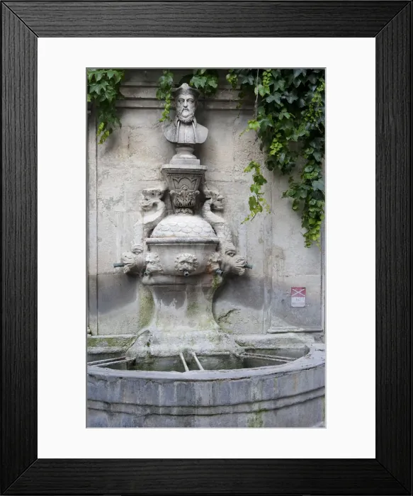 Framed Print : The statue and plaque outside the birthplace of Nostradamus in St Remy France Framed Print : The statue and plaque outside the birthplace of Nostradamus in St Remy France