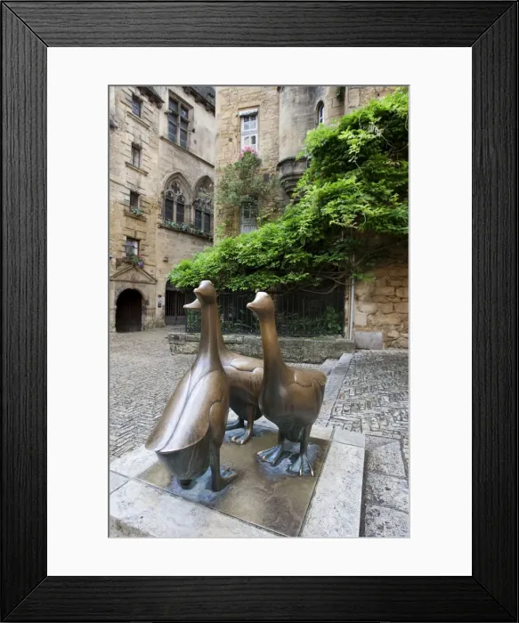 Framed Print : Bronze statue closeup of goose. Place du marchAo aux oies Framed Print : Bronze statue closeup of goose. Place du marchAo aux oies