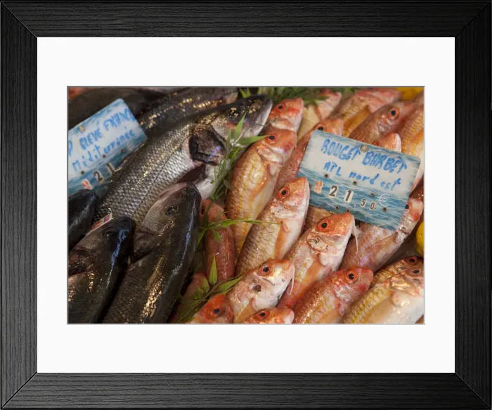 Framed Print : Seafood for sale in the market in St Remy France Framed Print : Seafood for sale in the market in St Remy France