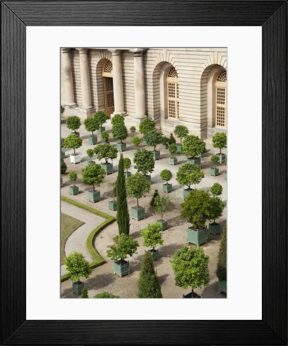 Framed Print : Versailles, France. Antiques in the Palace of Versailles Framed Print : Versailles, France. Antiques in the Palace of Versailles