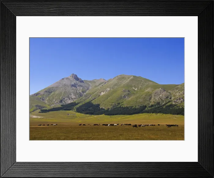 Framed Print : Horses at Vado di Sole, Campo Imperatore, Gran Sasso National Park, Abruzze, Italy Framed Print : Horses at Vado di Sole, Campo Imperatore, Gran Sasso National Park, Abruzze, Italy