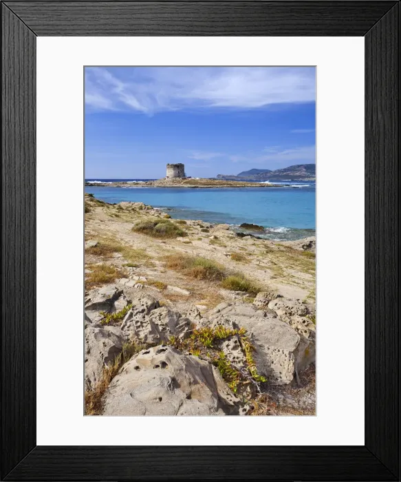 Framed Print : Italy, Sardinia, Sassari district, Stintino, La Pelosa beach Framed Print : Italy, Sardinia, Sassari district, Stintino, La Pelosa beach
