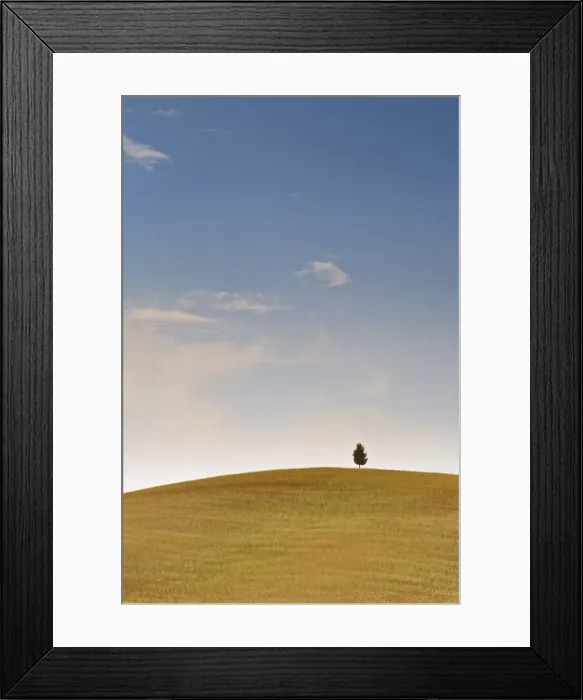 Framed Print : Italy, Tuscany, Siena district, Orcia Valley. alone tree Framed Print : Italy, Tuscany, Siena district, Orcia Valley. alone tree
