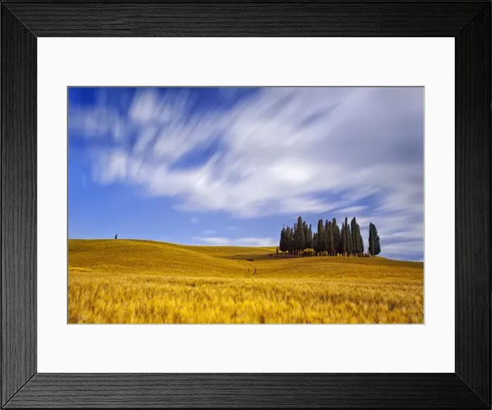 Framed Print : Italy, Tuscany, Siena district, Orcia Valley, Cypress on the hill near San Quirico Framed Print : Italy, Tuscany, Siena district, Orcia Valley, Cypress on the hill near San Quirico