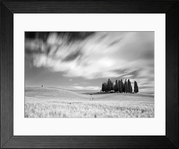 Framed Print : Italy, Tuscany, Siena district, Orcia Valley, Cypress on the hill near San Quirico