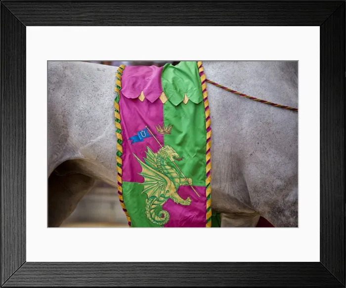 Framed Print : Italy, Tuscany, Siena district, Siena, Piazza del Campo. The Palio Framed Print : Italy, Tuscany, Siena district, Siena, Piazza del Campo. The Palio