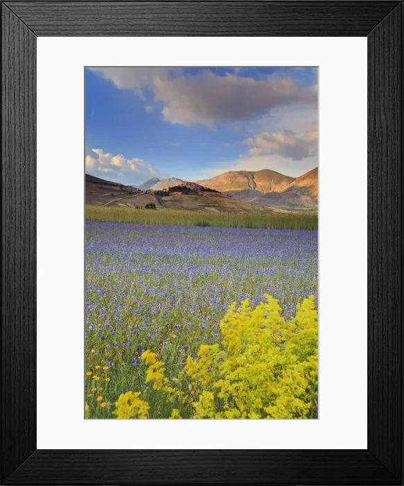 Framed Print : Italy, Umbria, Perugia district, Monti Sibillini NP, Norcia, Castelluccio Framed Print : Italy, Umbria, Perugia district, Monti Sibillini NP, Norcia, Castelluccio