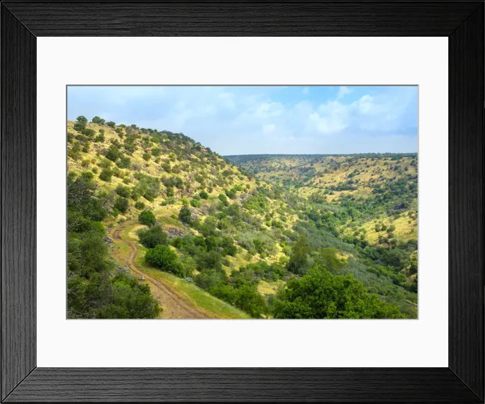 Framed Print : Nahal Meshushim Reserve, part of the Yehudiya Forest Nature Reserve, central Golan Framed Print : Nahal Meshushim Reserve, part of the Yehudiya Forest Nature Reserve, central Golan