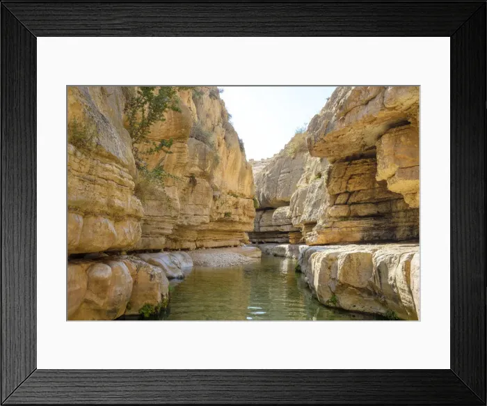 Framed Print : Palestine, West Bank, Jericho. Ein Quelt spring and freshwater pools within the Wadi Framed Print : Palestine, West Bank, Jericho. Ein Quelt spring and freshwater pools within the Wadi
