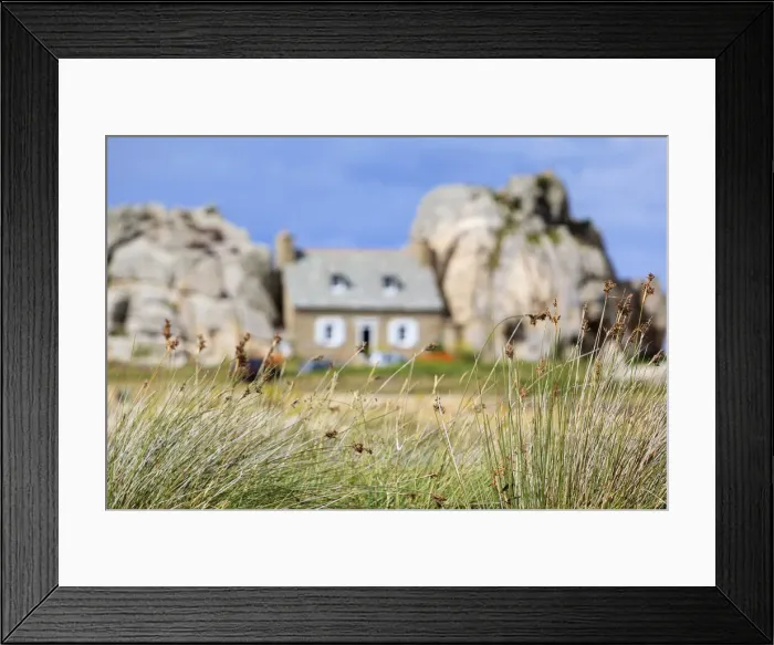 Framed Print : France, Brittany, Cote d armor, Plougrescant, Le Gouffre, grass reeds in focus Framed Print : France, Brittany, Cote d armor, Plougrescant, Le Gouffre, grass reeds in focus