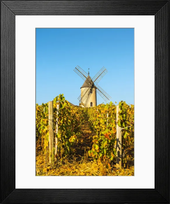Framed Print : France, Auvergne-Rhone-Alpes, Rhone department, Beaujolais crus, Chenas Framed Print : France, Auvergne-Rhone-Alpes, Rhone department, Beaujolais crus, Chenas