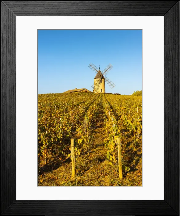 Framed Print : France, Auvergne-Rhone-Alpes, Rhone department, Beaujolais crus, Chenas Framed Print : France, Auvergne-Rhone-Alpes, Rhone department, Beaujolais crus, Chenas